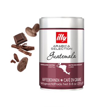 Кофе в зёрнах illy Arabica Selection Guatemala (Гватемала), 250г