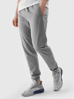 Спортивні штани чоловічі 4F 4FWSS25TFTRM0835-25M 2XL Сірі (5905700297161)