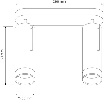 Спот Goldlux Fado GU10 2x10W IP20 (325914)
