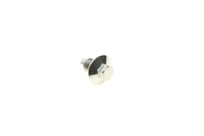 Болт зливу оливи Ford Transit 2.0/2.4/2.2 00- M14x1.5 58308 AIC