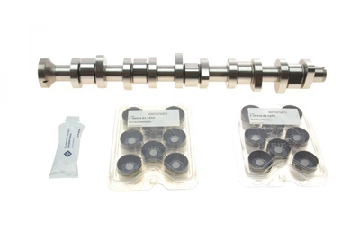 Комплект розподільчого валу VW T5 2.5 TDI 03-09, 96/120/128kw, BNZ,AXD,BPC,AXE,BLJ 428 0040 30 INA