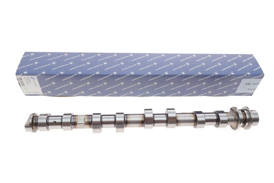 Розподільний вал BMW 5 F10/F11 11-16/X5 F15/F85 2.0 i N20 15-18 впуск 50007921 KOLBENSCHMIDT