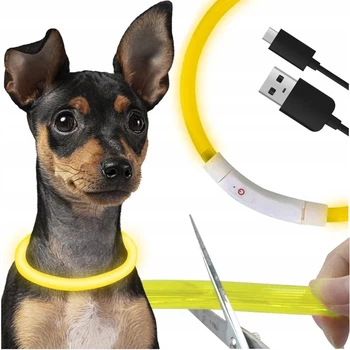 Ошейник со светодиодной подсветкой для собак и кошек с USB зарядкой и регулируемой длиной Purlov 24200