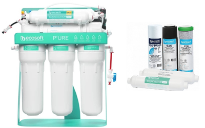 Фильтр обратного осмоса Ecosoft P’URE AquaCalcium Mint с помпой + картриджы 6 мес (MO675PSMACECO+CHV5PUREMAC)