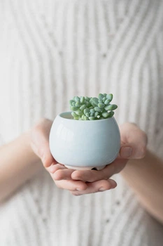 Керамический горшок для суккулентов Mini Plant маленького размера 6,2х6,3см Круглый Голубой