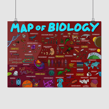Постер "Біологія, схема (англ.), Map of Biology" A3 30x42 см (id5976)