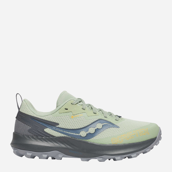 Buty do biegania damskie Peregrine 14 Gtx