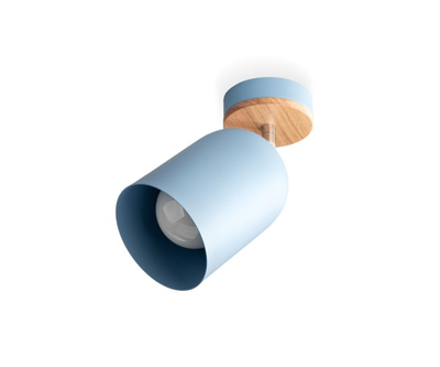 Потолочный светильник Fluo Blue (Scandi Collection)