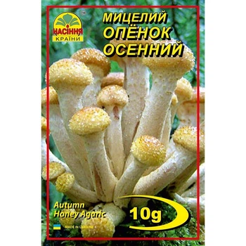 Міцелій грибів Насіння країни Опенок осінній 10 г