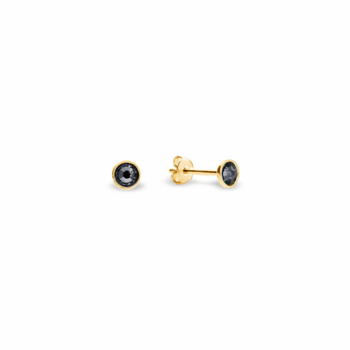 Срібні та позолочені сережки Spark зі Swarovski Pinpoint Studs KG2038SS10SN