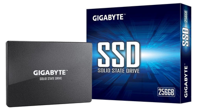 SSD накопичувач Gigabyte 256 GB (GP-GSTFS31256GTND)