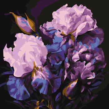 Картина по номерам. (Очаровательные ирисы) (артикул AS2213) размер 30x30 см.