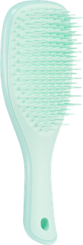 Міні-щітка для волосся Tangle Teezer The Ultimate Detangler Mini Fine & Fragile Jade Lagoon (5060926685090)