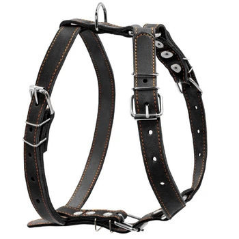 Шлея одинарна CoLLaR для середніх собак