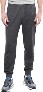 Спортивные штаны Lotto MSC PANT CUFF II MEL темно-серые S 218927/9Y7
