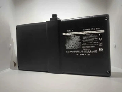 Аккумулятор для гироскутера Mini & Pro 36V (6155483)