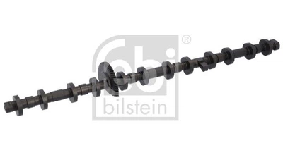 Вал эксцентриковый BMW X5 E70 3.0 N55/S55 07-13 - 184958 FEBI BILSTEIN