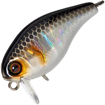 Воблер Jackall Chubby 38 SSR 38mm 4.2g HL Silver and Black