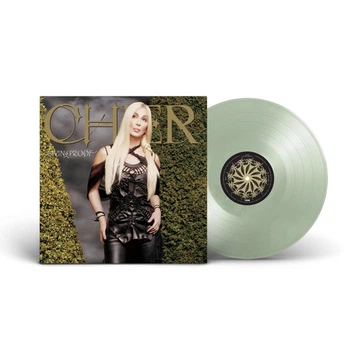 Виниловая пластинка Cher Living Proof