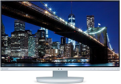 Монітор Sharp MultiSync 27" EA272QW (60006080)