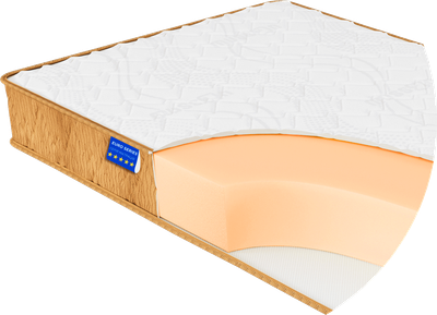 Ортопедический беспружинный матрас Foam Time Plus \ Фом тайм плюс (монолитный блок, микро соты) цена за ка.м (нестандартный)