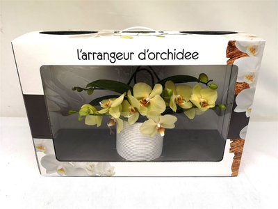 Орхидея L'arrangeur D'orchidee Yellow (жолтый)