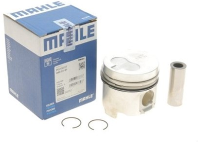 Поршень MAHLE (040 01 01)