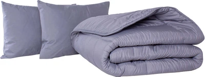 Набір антиалергенний MirSon EcoSilk Супер Теплий №9039 Eco Light Gray (ковдра 172x205 см + подушки 50х70 середні) (2200005995372)