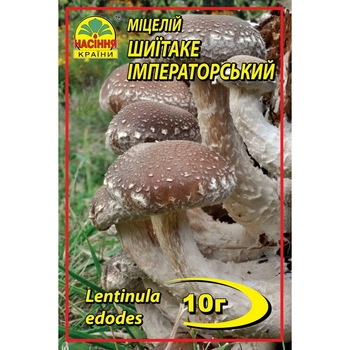 Міцелій грибів Шиітаке імператорський 10 г (Насіння країни)