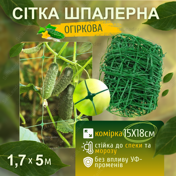 Сітка зелена 1,7х5м з великими комірками 15х18см для огірків винограду кабачків захисту саду огорожі зелена