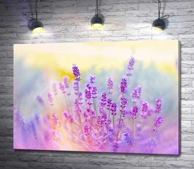 Картина Духмяний кущ лаванди на світанку 60x42 см Модуль №1 (002951)