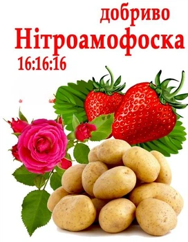 Добриво Нітроамофоска (NPK 16:16:16) 5 кг