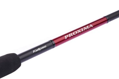 Спиннинг Kalipso Proxima 2.70м 50-170г (1406070004)