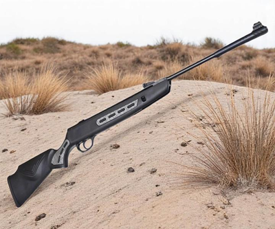 Гвинтівка пневматична Hatsan Striker 1000S