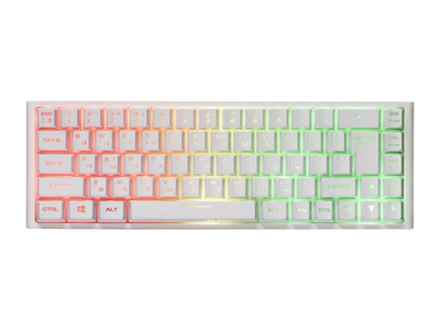Клавіатура 2E Gaming KG360 RGB WL White Ukr (2e-KG360UWT)