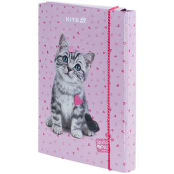 Папка для зошитів на гумці B5 Kite Studio Pets SP25-210, картон 4063276229991