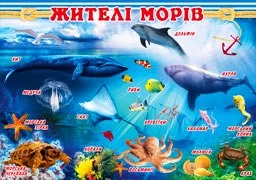 Плакат-П-109 Жители морей 480х676 2988100299174