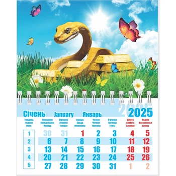 Календар на магніті середній 2025 Змія 03 2922600802458