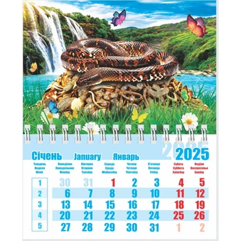 Календар на магніті середній 2025 Змія 05 2922600802472