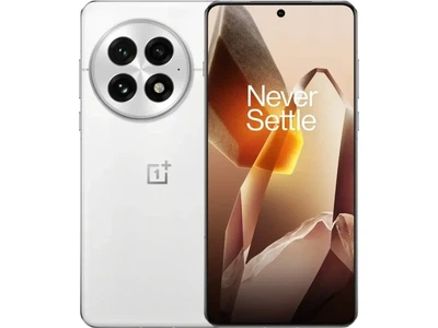 Смартфон OnePlus 13 24/1TB Arctic Dawn