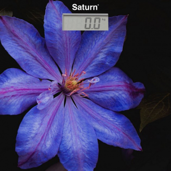 Ваги для підлоги Saturn ST-PS0287