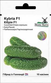 Семена огурцов Кибрия F1 10 шт, Rijk Zwaan