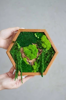 Панно из стабилизированного мха "Соты" 20×17,5 см