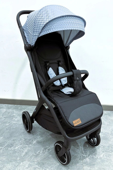 Коляска прогулочная детская JOY Willow WL-65035 Разноцветный