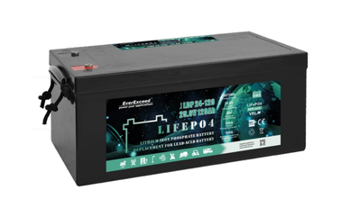 Аккумулятор EverExceed LDP 24-120 (25.6V120Ah)
