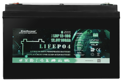 Аккумулятор EverExceed LDP12-100 (12.8V100Ah Bluetooth)