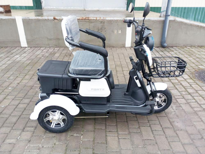Електроскутер Forte FAMILY (650W; 60V-20Ah SLA)