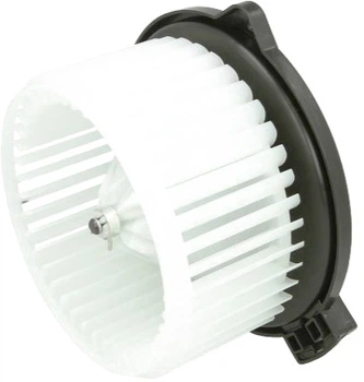 Мотор вентилятора пічки Thermotec (DD2001TT)