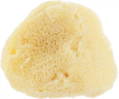 Натуральна морська губка, 9-10 см - Najel Natural Sponge (576547-27234191)