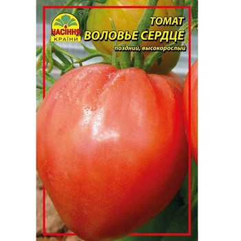 Семена томата Воловье сердце 30 шт. (Насіння країни)